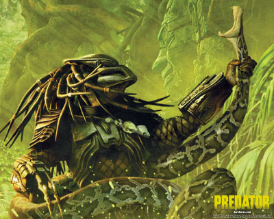 The Predator