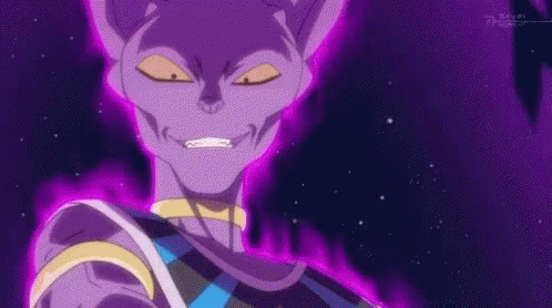 Lord Beerus